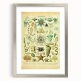 Vintage Oceanography Illustration - Nature Elements Wall Art Print