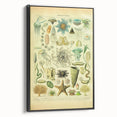 Vintage Oceanography Illustration - Nature Elements Wall Art Print