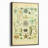 Vintage Oceanography Illustration - Nature Elements Wall Art Print