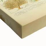 Vintage Oceanography Illustration - Nature Elements Wall Art Print