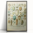 Vintage Egg Illustration - Nature Elements Wall Art Print