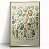 Vintage Egg Illustration - Nature Elements Wall Art Print