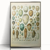 Vintage Egg Illustration - Nature Elements Wall Art Print