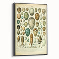 Vintage Egg Illustration - Nature Elements Wall Art Print