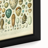 Vintage Egg Illustration - Nature Elements Wall Art Print