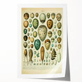 Vintage Egg Illustration - Nature Elements Wall Art Print