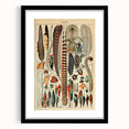 Vintage Bird Feathers Illustration - Nature Elements Wall Art Print
