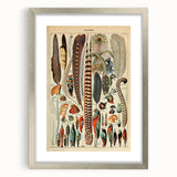 Vintage Bird Feathers Illustration - Nature Elements Wall Art Print