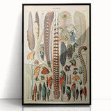 Vintage Bird Feathers Illustration - Nature Elements Wall Art Print