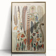 Vintage Bird Feathers Illustration - Nature Elements Wall Art Print