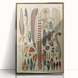 Vintage Bird Feathers Illustration - Nature Elements Wall Art Print