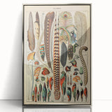 Vintage Bird Feathers Illustration - Nature Elements Wall Art Print