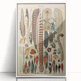 Vintage Bird Feathers Illustration - Nature Elements Wall Art Print