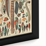 Vintage Bird Feathers Illustration - Nature Elements Wall Art Print