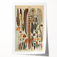 Vintage Bird Feathers Illustration - Nature Elements Wall Art Print