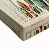 Vintage Bird Feathers Illustration - Nature Elements Wall Art Print