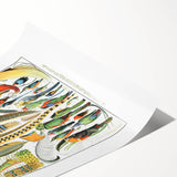 Vintage Plumes and Birds Illustration - Nature Elements Wall Art