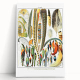 Vintage Plumes and Birds Illustration - Nature Elements Wall Art