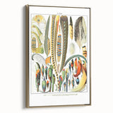 Vintage Plumes and Birds Illustration - Nature Elements Wall Art