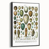 Vintage Egg Illustrations - Nature Elements Wall Art Print