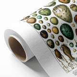 Vintage Egg Illustrations - Nature Elements Wall Art Print