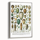Vintage Egg Illustrations - Nature Elements Wall Art Print