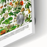 Vintage Floral Illustration - Nature Elements Wall Art Print