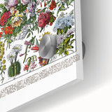 Vintage Floral Illustration - Nature Elements Wall Art Print