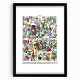 Vintage Floral Illustration - Nature Elements Wall Art Print