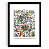 Vintage Floral Illustration - Nature Elements Wall Art Print