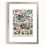 Vintage Floral Illustration - Nature Elements Wall Art Print