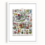 Vintage Floral Illustration - Nature Elements Wall Art Print