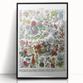 Vintage Floral Illustration - Nature Elements Wall Art Print
