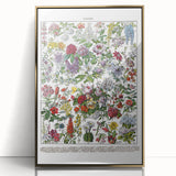 Vintage Floral Illustration - Nature Elements Wall Art Print