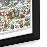 Vintage Floral Illustration - Nature Elements Wall Art Print