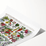 Vintage Floral Illustration - Nature Elements Wall Art Print