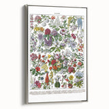 Vintage Floral Illustration - Nature Elements Wall Art Print