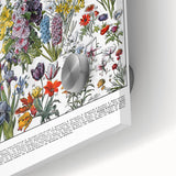 Vintage Floral Illustration - Nature Elements Wall Art Print
