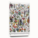 Vintage Floral Illustration - Nature Elements Wall Art Print