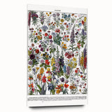 Vintage Floral Illustration - Nature Elements Wall Art Print