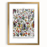 Vintage Floral Illustration - Nature Elements Wall Art Print