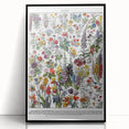 Vintage Floral Illustration - Nature Elements Wall Art Print