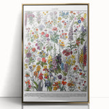 Vintage Floral Illustration - Nature Elements Wall Art Print