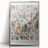 Vintage Floral Illustration - Nature Elements Wall Art Print