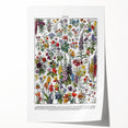 Vintage Floral Illustration - Nature Elements Wall Art Print