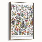 Vintage Floral Illustration - Nature Elements Wall Art Print
