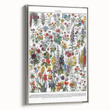 Vintage Floral Illustration - Nature Elements Wall Art Print