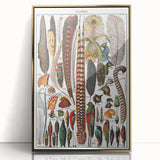 Vintage Bird Feathers Illustration - Nature Elements Wall Art Print