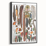 Vintage Bird Feathers Illustration - Nature Elements Wall Art Print