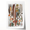Vintage Bird Feathers Illustration - Nature Elements Wall Art Print